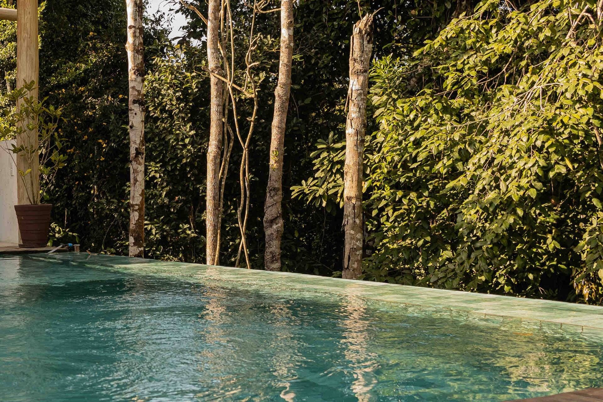 Borda infinita da piscina refletindo a mata