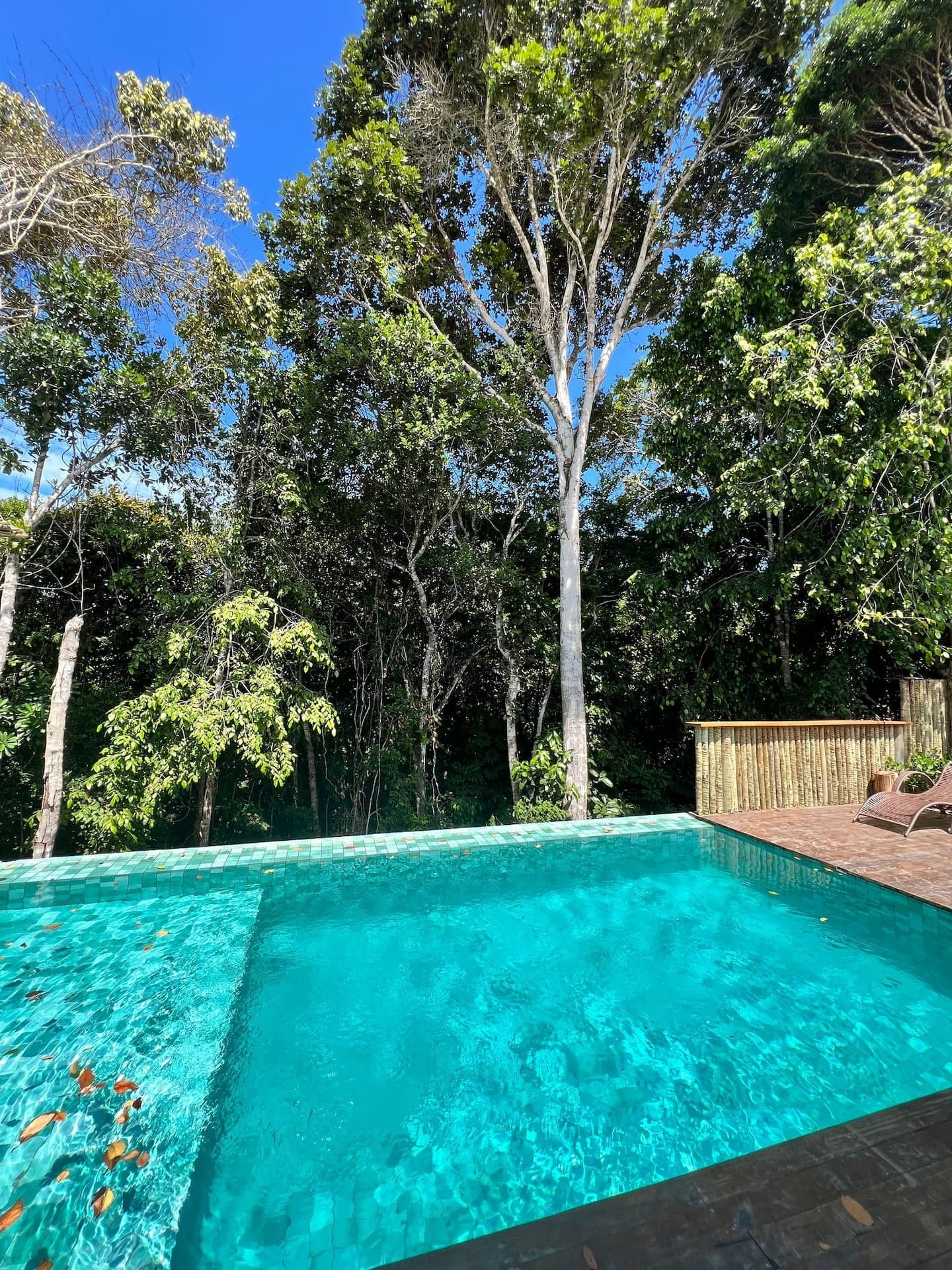 Piscina e deck sob céu azul, cercados por árvores altas