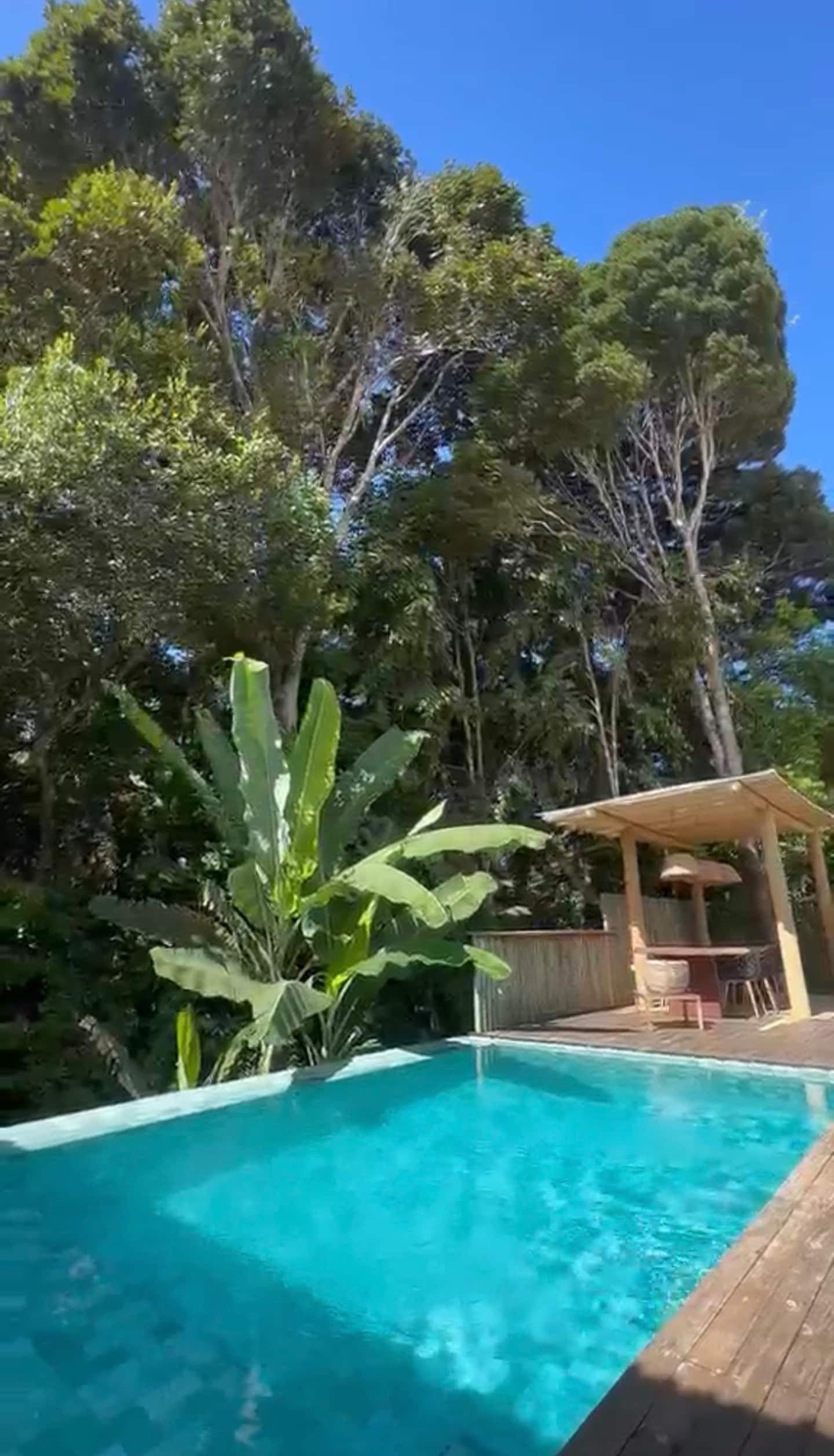 Canto da piscina com bananeira e o quiosque de madeira ao fundo